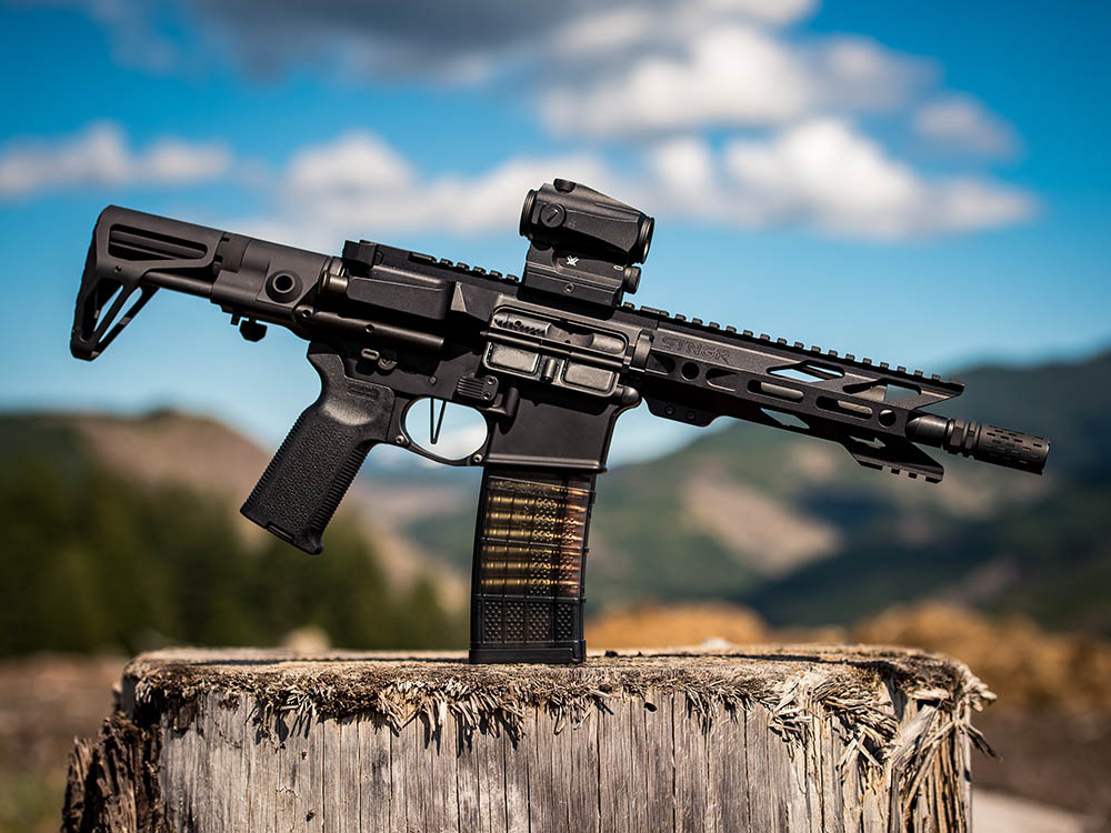Michigan's Latest AntiGun Legislation HB 6544 Alcona Conservatives